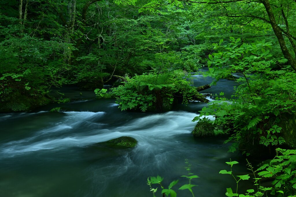 渓流