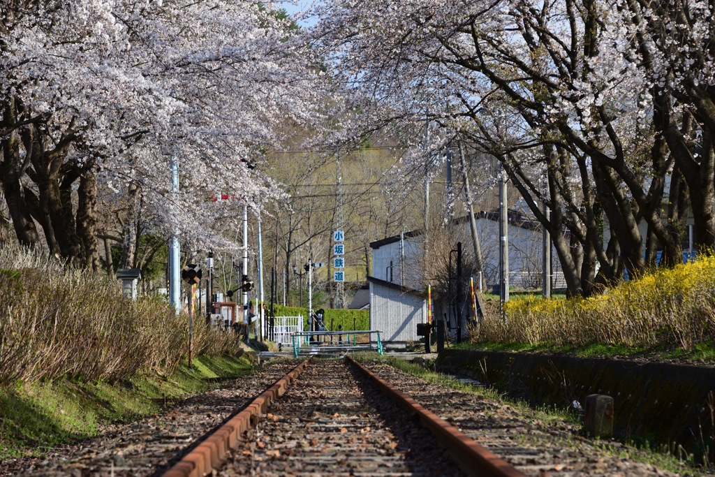 廃線