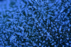 Frozen