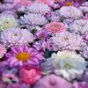 花手水