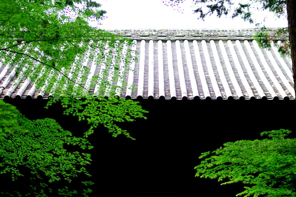 明暗