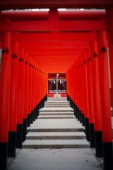 生田神社にて