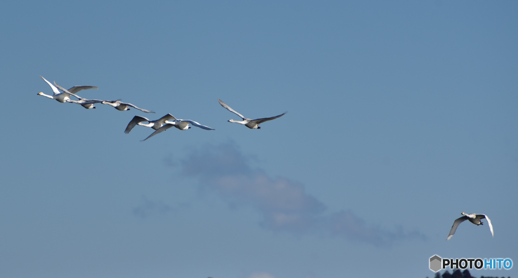 ついて来いよ。