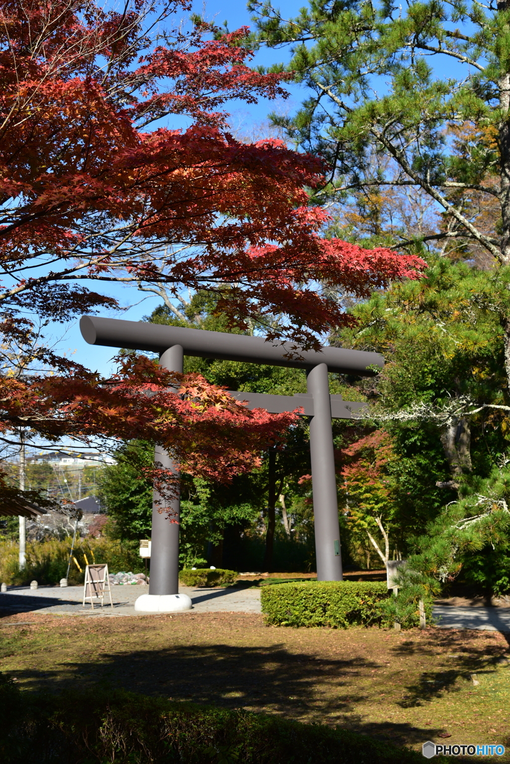 紅葉と鳥居