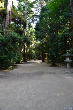 奥参道