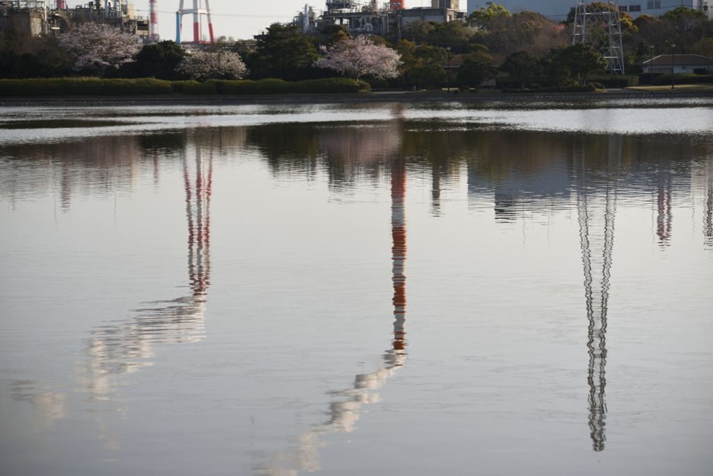 神栖神之池公園NO１