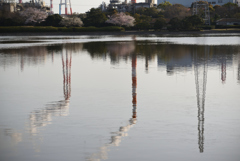 神栖神之池公園NO１