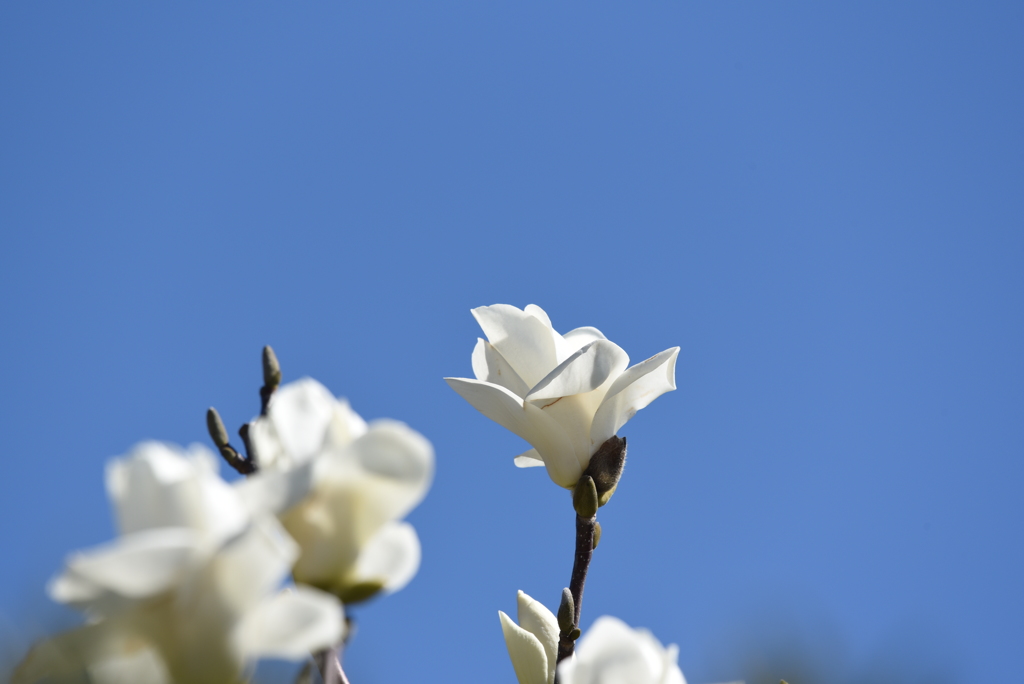 風止まったね、