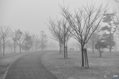 霧,かかる公園
