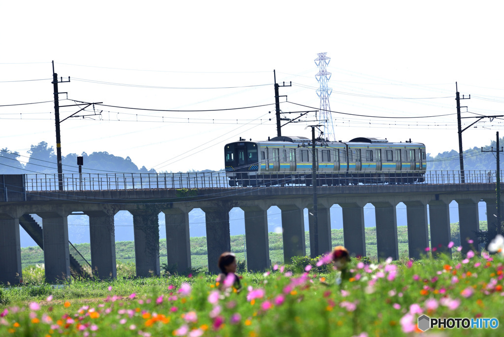 電車