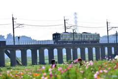電車