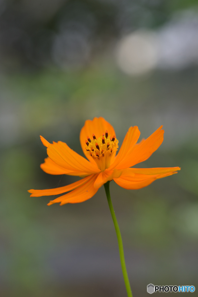 季節が終わるね