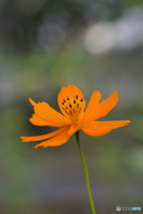 季節が終わるね