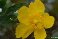 季節間違ってないですか。