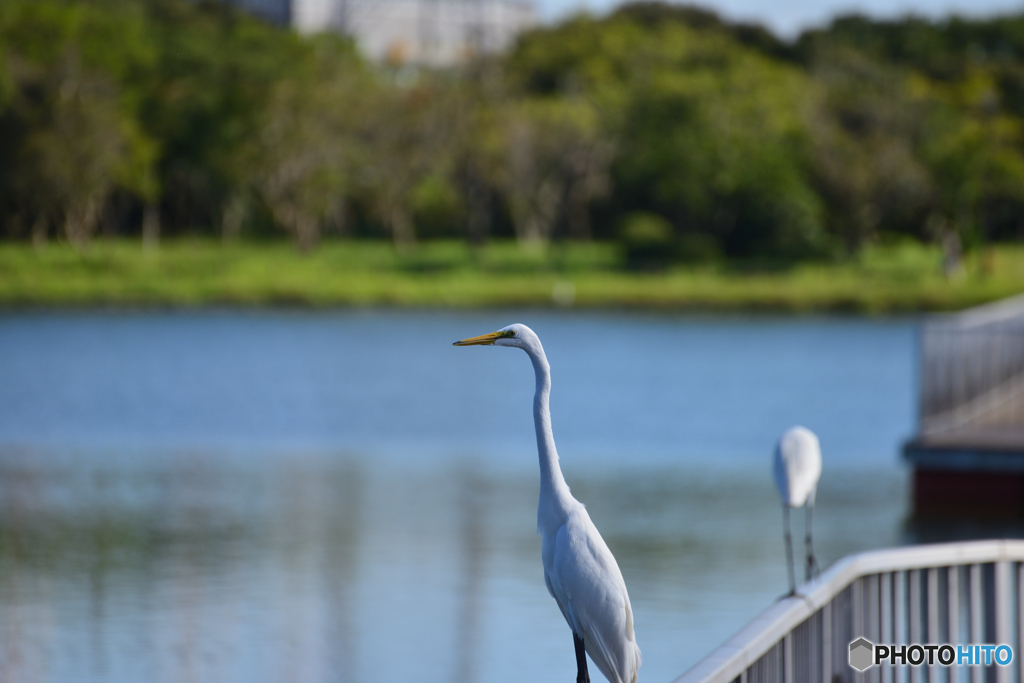 見つめる先に？