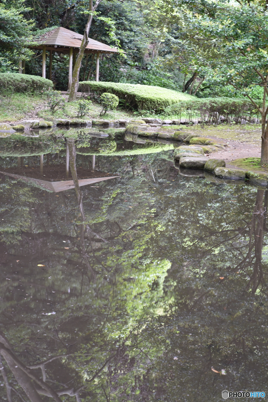水に写し出される
