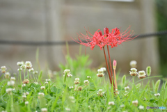 季節の勘違い　①