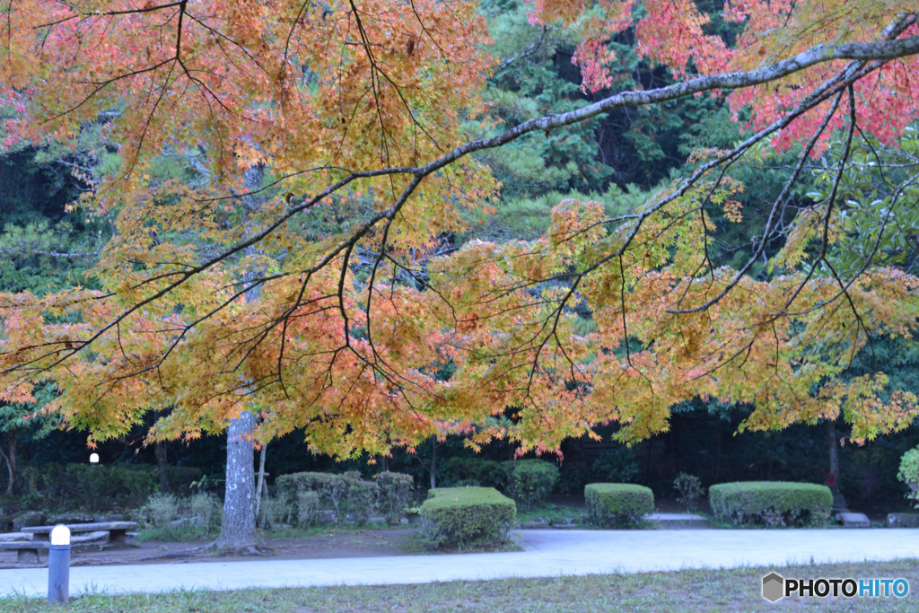 染まる御手洗公園　② 