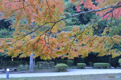 染まる御手洗公園　② 
