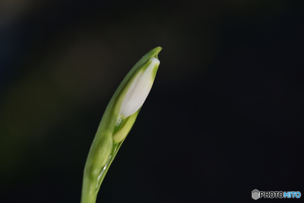 もう少ししたら