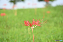 季節の勘違い　②