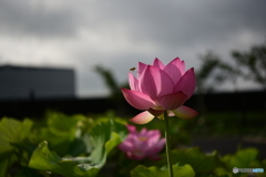 あと少しだよ