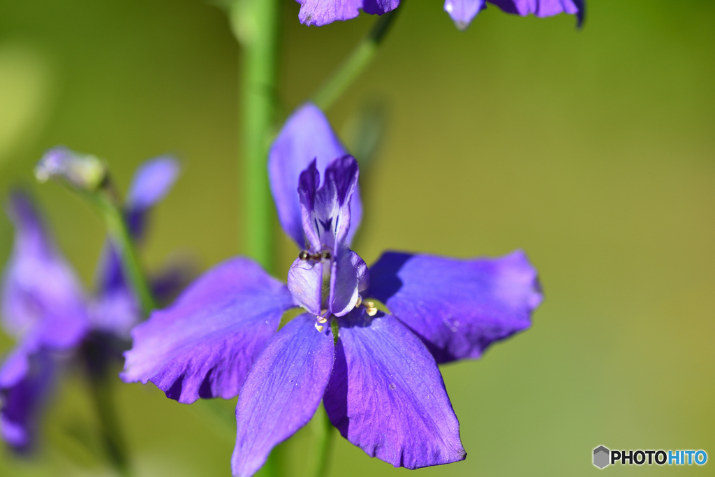 自由気ままなくらし　