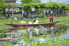 おめでとう～。
