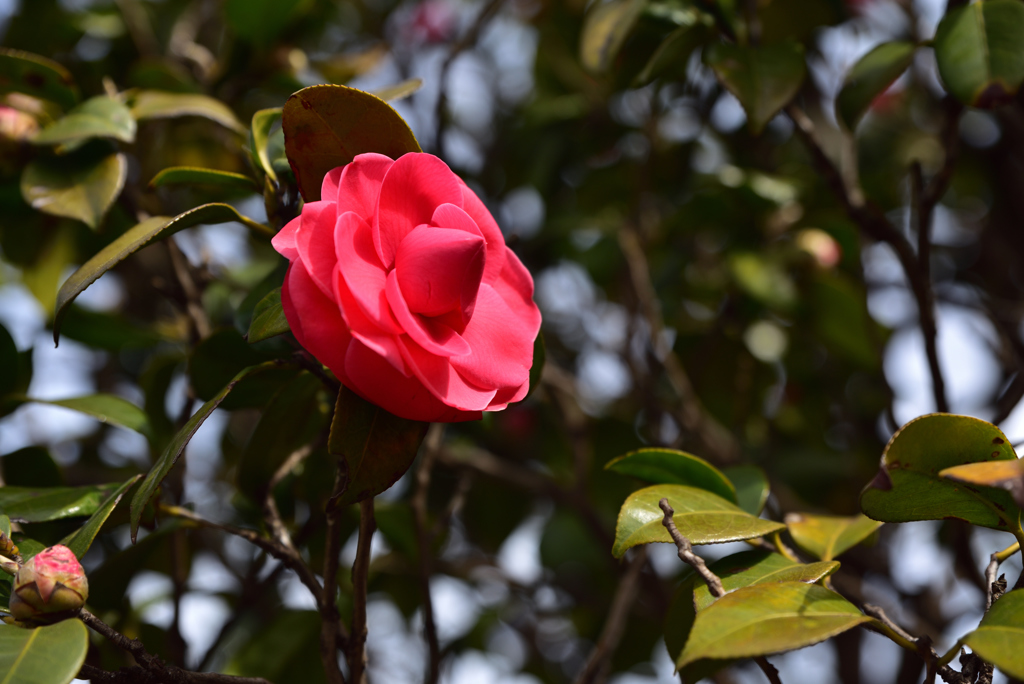 何隠しているんですか