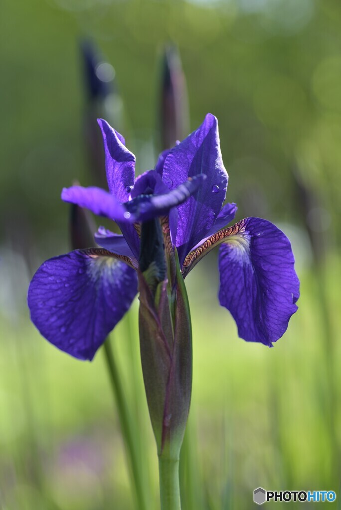 貴女の季節きたね