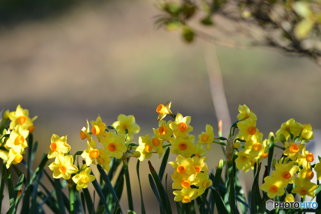 歌っているのかな～。