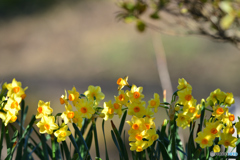 歌っているのかな～。