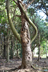 疲れてきたなー