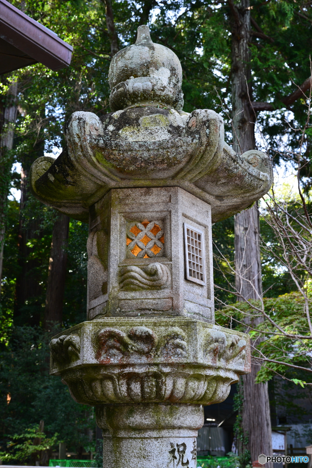 灯る