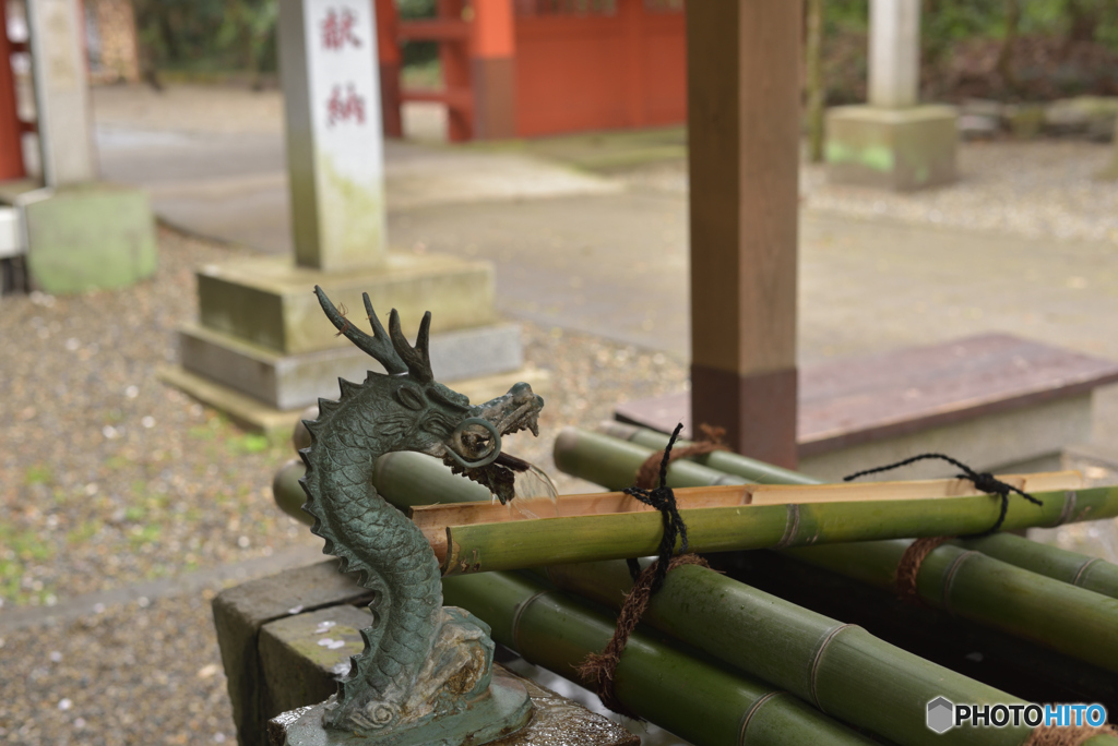 今は仕方ないね