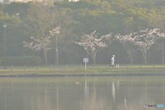 霞む朝