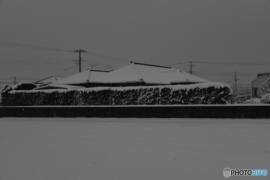 目が覚めたらビックリした