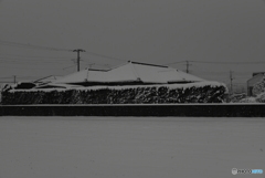 目が覚めたらビックリした