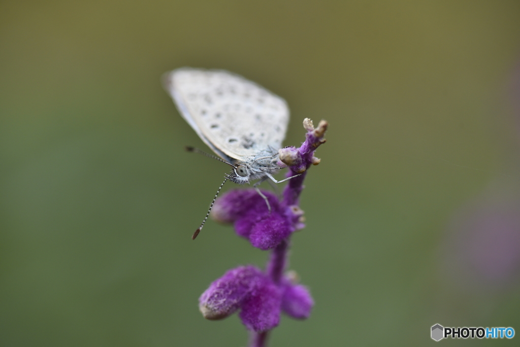 眼が合いましたね