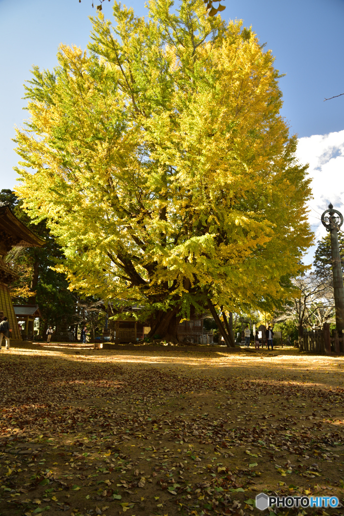 色ずいてくれたね