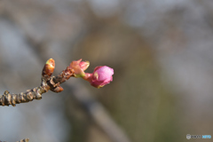 焦らないで気持ちはわかる　