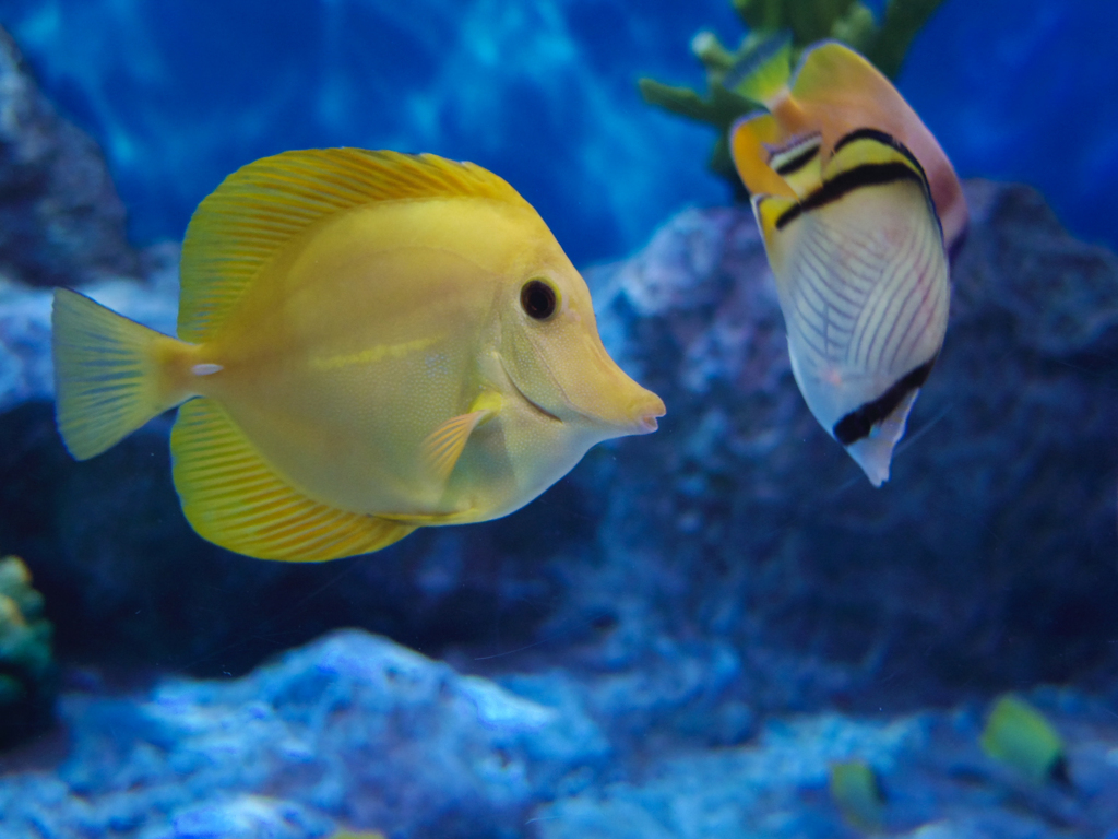 小樽水族館②