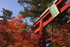 志波彦神社