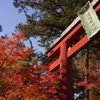 志波彦神社