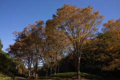森林公園 南口