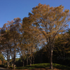 森林公園 南口