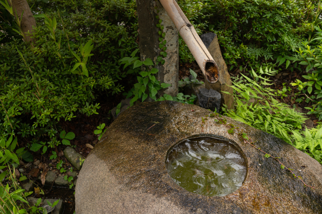 水紋