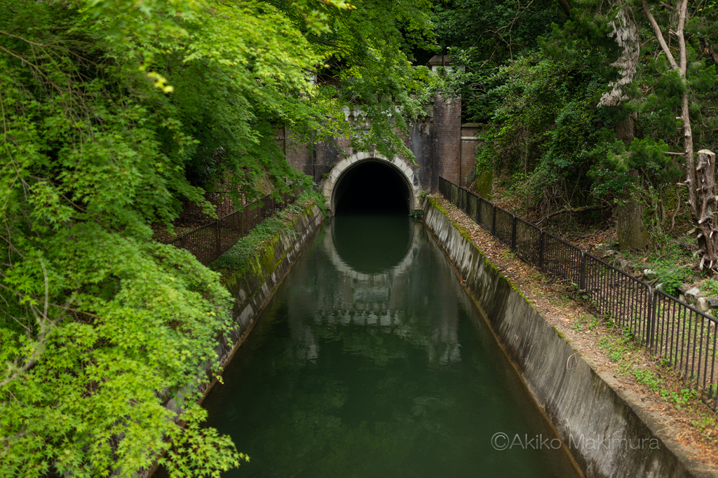 過雨看松色（かうしょうしょくをみる）