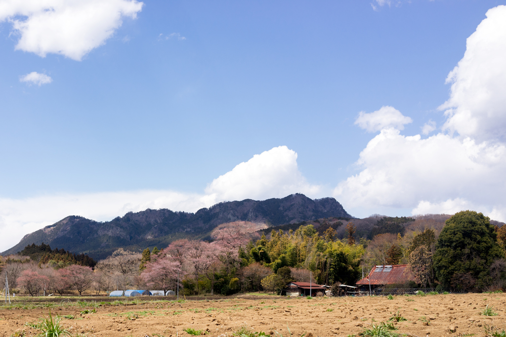 懐かしい風景