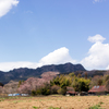 懐かしい風景